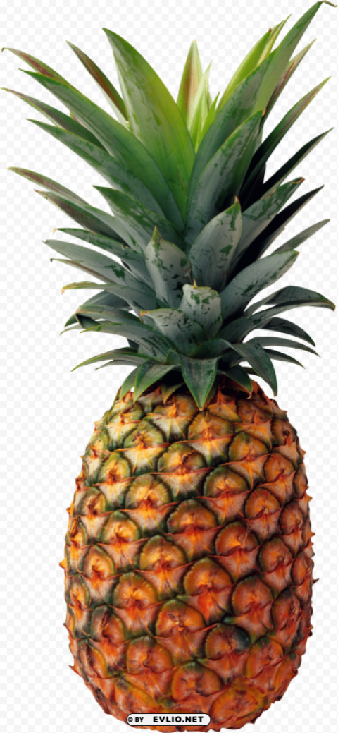 Pinapple PNG Images With Transparent Overlay