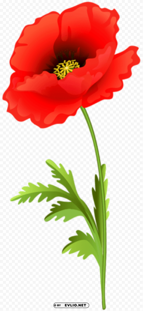 PNG image of poppy flower Isolated Subject on Clear Background PNG with a clear background - Image ID d0dfbe44