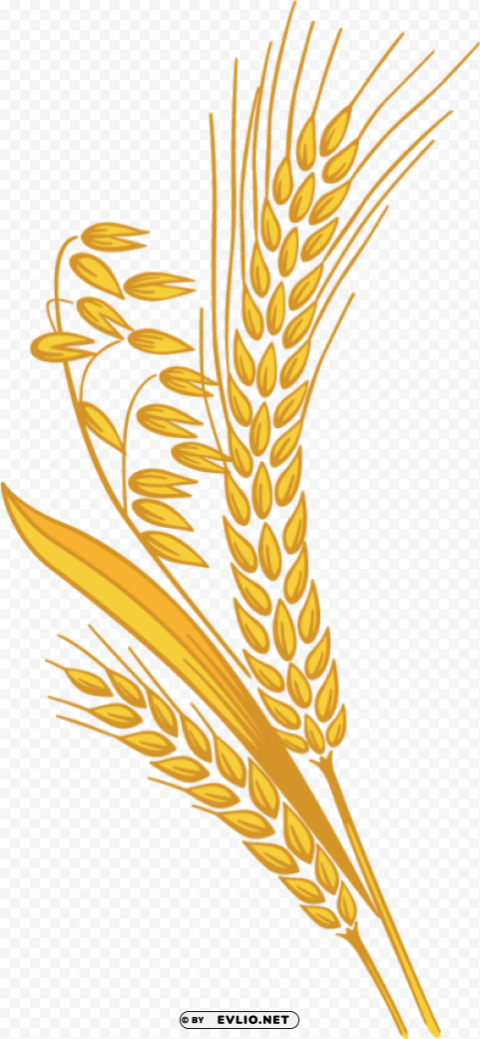 Wheat PNG Graphic with Transparent Background Isolation