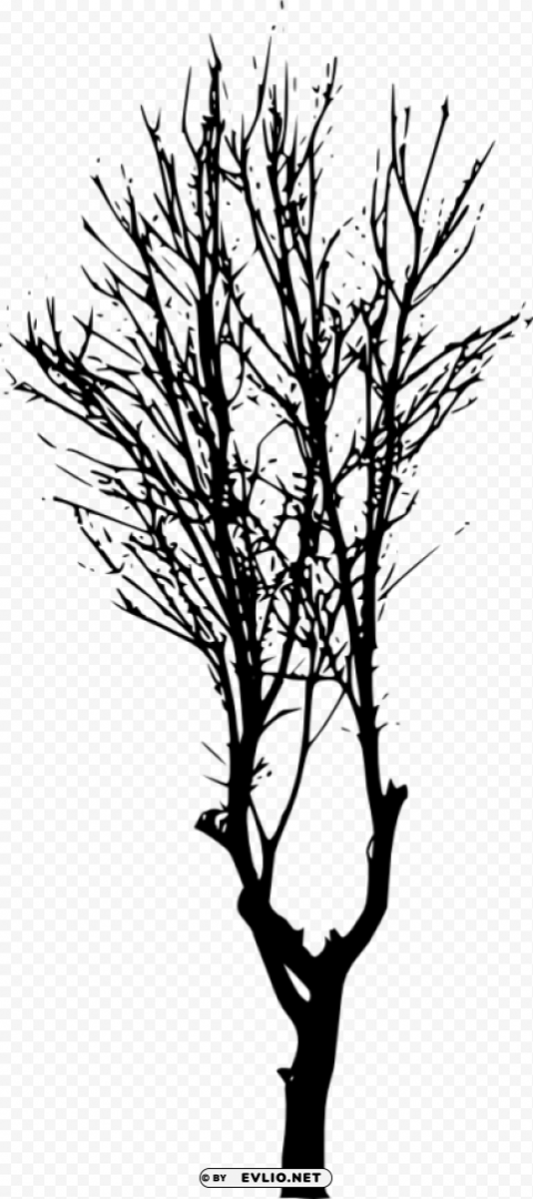 Tree Silhouette PNG Graphic With Transparent Isolation