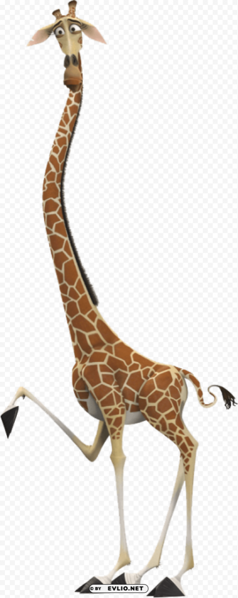 giraffe Free PNG download no background