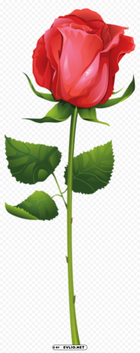 rose with stem Isolated Artwork in HighResolution PNG