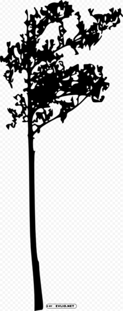 Tree Silhouette Transparent Graphics PNG