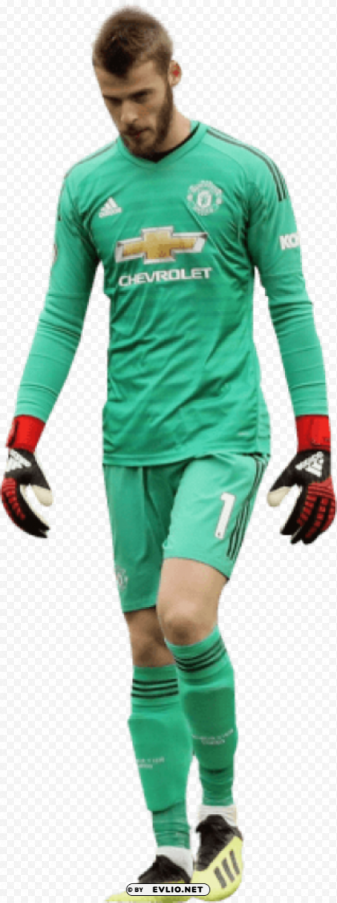 david de gea Transparent PNG download