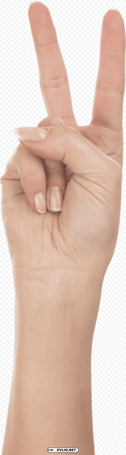 two finger hand Isolated Item on Clear Background PNG