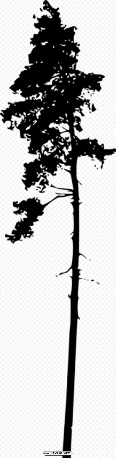 pine tree silhouette Transparent PNG image