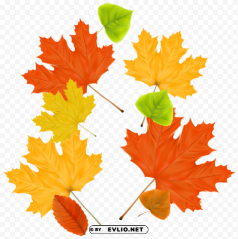 autumn leaves decor PNG images with alpha mask