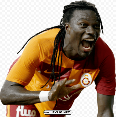 bafetimbi gomis PNG images with no background necessary