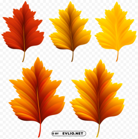 beautiful fall leaves set Transparent PNG pictures for editing