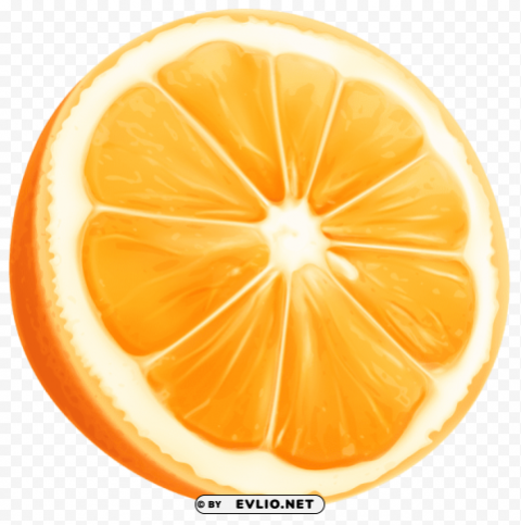 orange slice PNG Image with Transparent Isolated Graphic