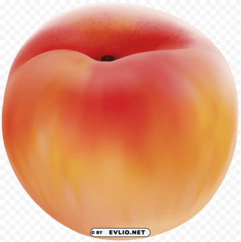 peach Transparent Background PNG Isolated Graphic