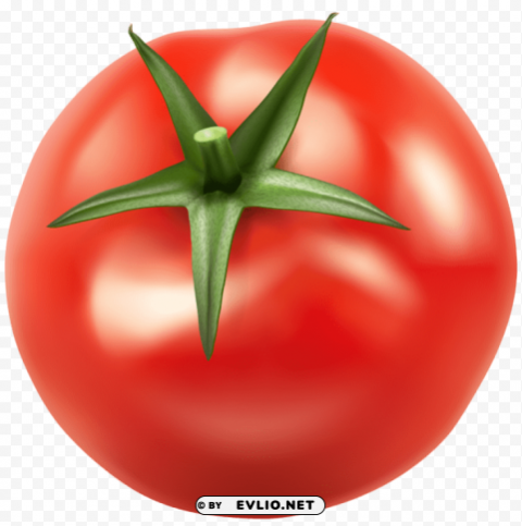 tomatos PNG download free