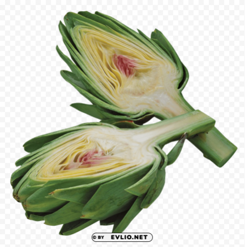 artichoke PNG files with clear background collection