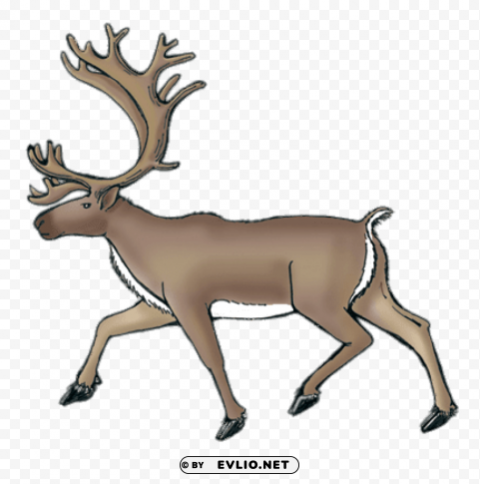 reindeer caribou drawing Isolated Graphic on Transparent PNG