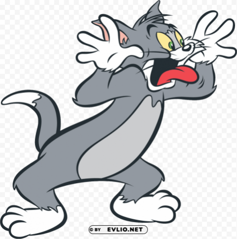 tom- tom and jerry Free PNG file