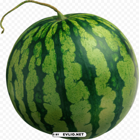 watermelon PNG for mobile apps