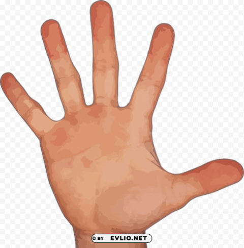 Transparent background PNG image of finger PNG files with transparency - Image ID 15420c17