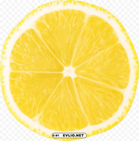 lemon Isolated Item in HighQuality Transparent PNG