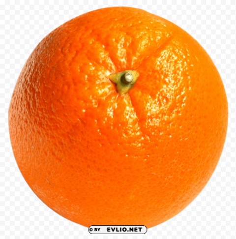 Orange PNG Image with Clear Background Isolation