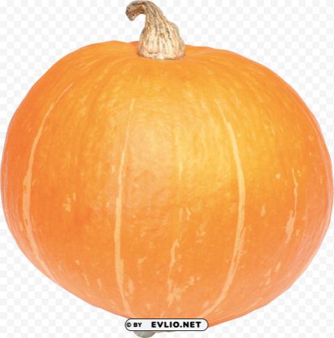 pumpkin ClearCut Background PNG Isolated Subject