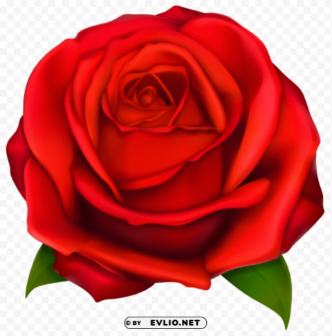 PNG image of  red rose HighQuality Transparent PNG Isolated Object with a clear background - Image ID 273cf3ae