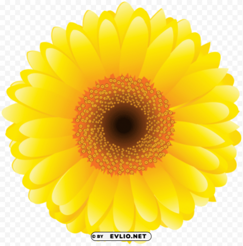 PNG image of yellow flower PNG design with a clear background - Image ID 26c9c7c5