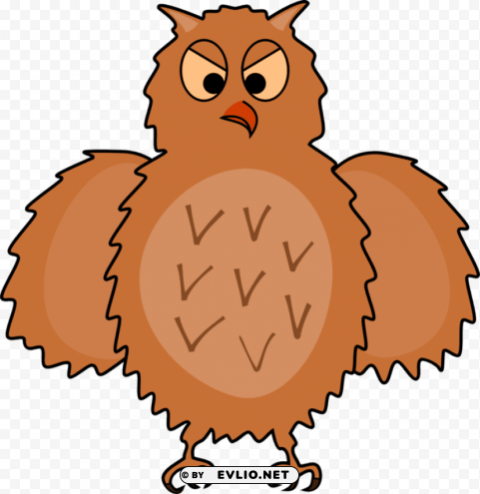 bird cartoons front side view Clean Background Isolated PNG Image
