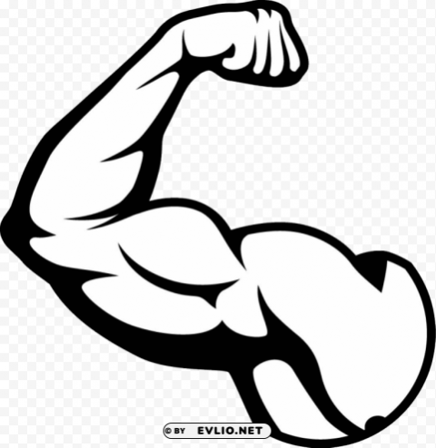 muscle PNG transparent pictures for editing