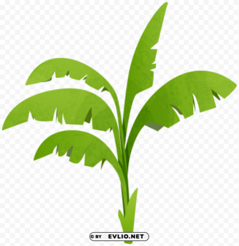 Green Plant Transparent No-background PNGs