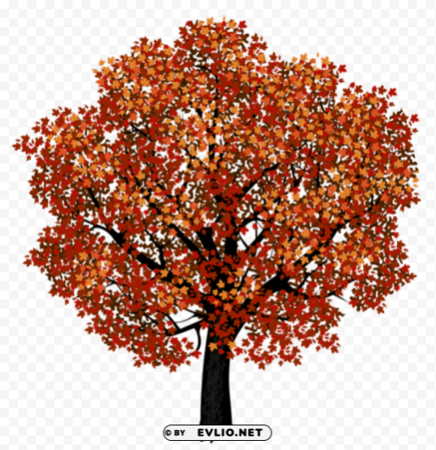 red maple treepicture Transparent background PNG clipart