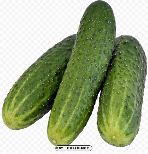 cucumber Transparent PNG stock photos PNG images with transparent backgrounds - Image ID 7be8ff53