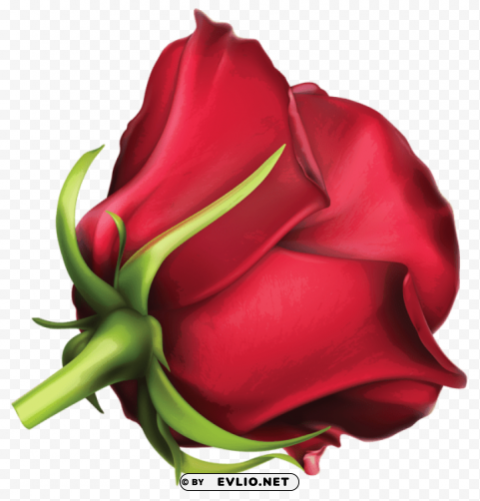 Large Red Rose PNG Cutout