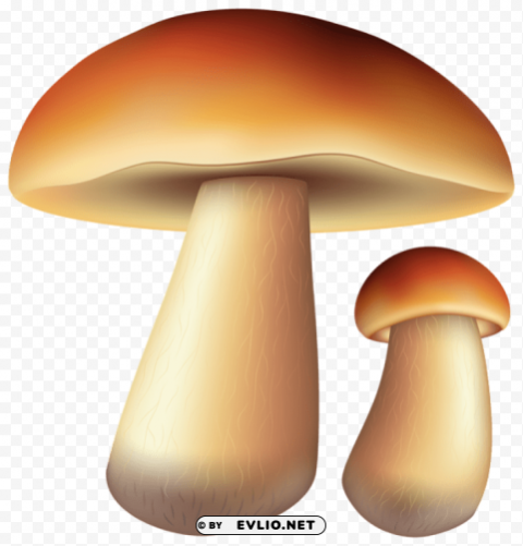 mushrooms free Isolated Graphic Element in Transparent PNG