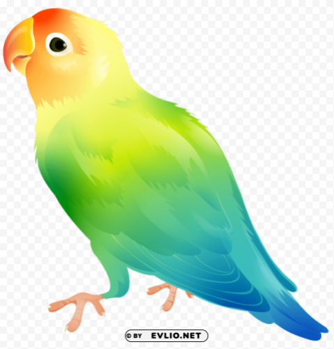 parrot bird Isolated Design Element in Clear Transparent PNG