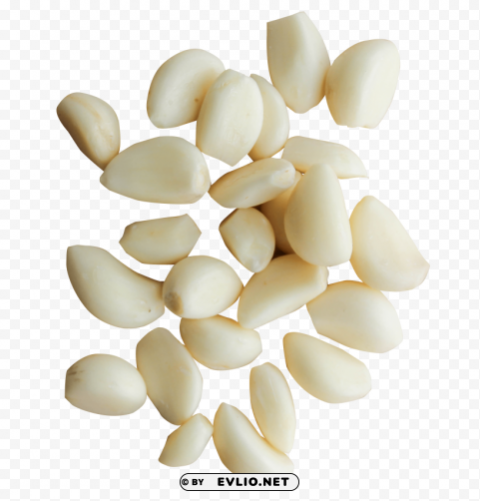 peeled garlic cloves Transparent PNG Isolated Illustrative Element