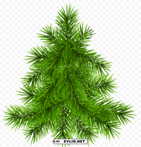 Pine Tree Transparent Picture High-resolution PNG