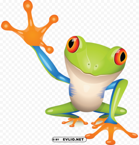 frog Isolated Subject in Transparent PNG
