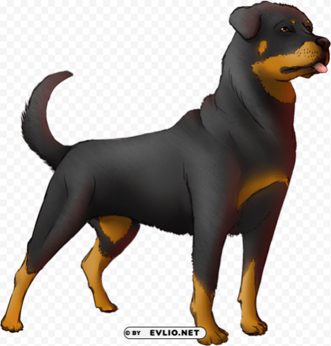 rottweiler animated gif Transparent Background Isolated PNG Item PNG transparent with Clear Background ID 2de3a36c