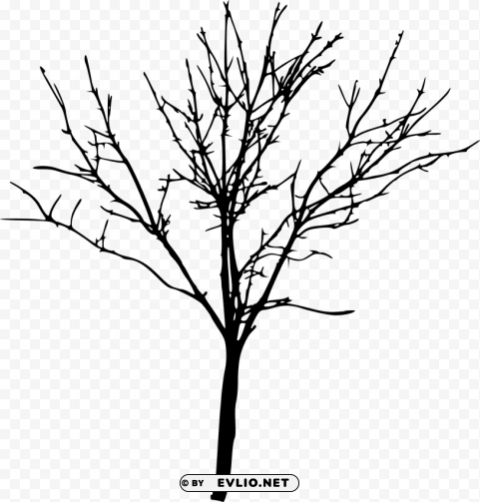 simple bare tree silhouette Isolated Artwork on Clear Transparent PNG
