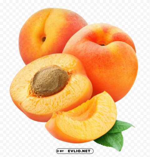 Apricot Isolated Element In HighResolution Transparent PNG