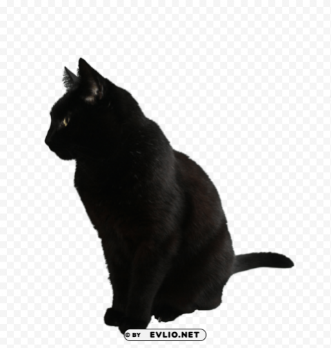 Black Cat Free PNG