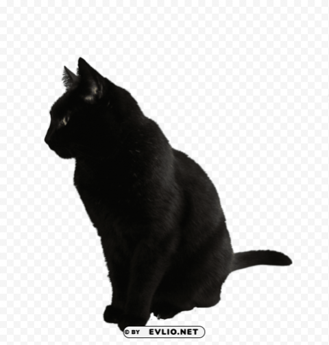 black cat sitting PNG Graphic Isolated with Clarity