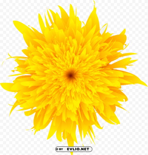 dandelion PNG files with no backdrop pack