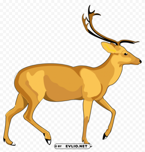 deer vector Isolated Graphic on HighResolution Transparent PNG