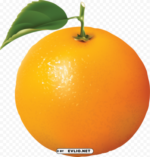 orange oranges Isolated Design Element in Clear Transparent PNG