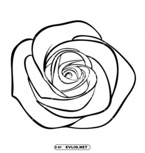  rose outline s Isolated Design Element on Transparent PNG clipart png photo - fd7048f6