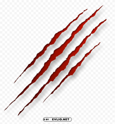 bloody scratches picture Transparent PNG Graphic with Isolated Object