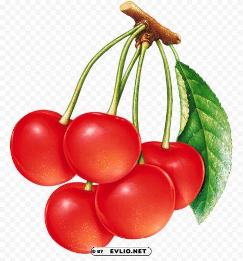 cherries PNG transparent design diverse assortment