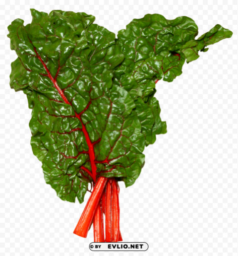 fresh swiss chard Free PNG images with alpha transparency compilation