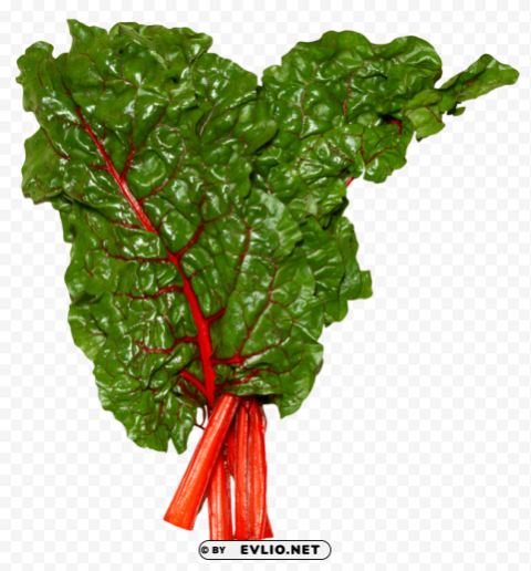 Fresh Swiss Chard Free PNG Images With Alpha Transparency Compilation